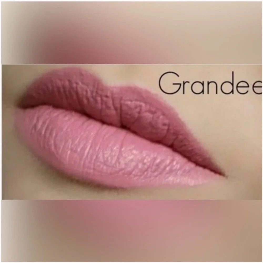 NIB Revolution Retro‎ Luxe Matte lip kit in shade Grandee